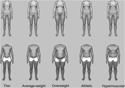 body men female male average gender differences standards thin weight figure double bodies than overweight athletic frontiersin psychology